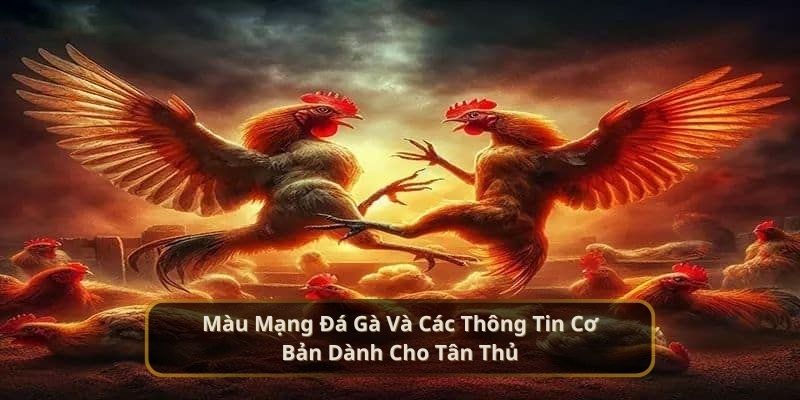 màu mạng đá gà