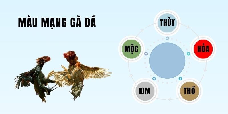 Khái niệm cơ bản về màu mạng đá gà